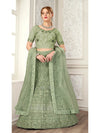 Pista Net Heavy Embroidered Lehenga Choli