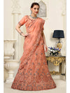 Peach Net Heavy Embroidered Lehenga Choli