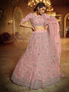 Pink Soft Net Heavy Embroidered Lehenga - myracouture