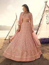 Peach Embroidered Organza Lehenga - myracouture