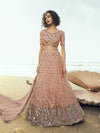 Peach Embroidered Net Lehenga - myracouture