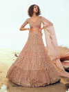 Peach Embroidered Net Lehenga - myracouture