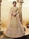 Golden Heavy Embroidered Georgette Lehenga - myracouture