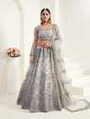 Light Grey Heavy Embroidered Net Lehenga - myracouture