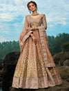 Light Brown Art Silk Lehenga - myracouture