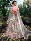 Pink and Grey Net Embroidered Lehenga - myracouture