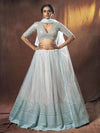 Light Blue Embroidered Soft Net Lehenga - myracouture