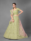 Pista Heavy Embroidered Art Silk bridal Lehenga - myracouture