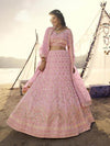 Pink Heavy Embroidered Organza bridal Lehenga - myracouture