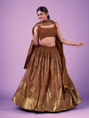 Brown Georgette Embroidered Designer Lehenga