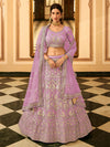 Wine Organza Embroidered Lehenga Choli