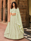 Light Green Organza Embroidered Lehenga Choli