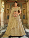 Pista Organza Embroidered Lehenga Choli