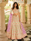 Pista Organza Embroidered Lehenga Choli