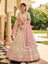 Beige Organza Embroidered Lehenga Choli