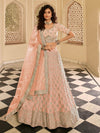 Peach Organza Embroidered Lehenga Choli