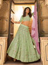 Pista Organza Embroidered Lehenga Choli