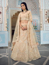 Cream Organza Embroidered Lehenga